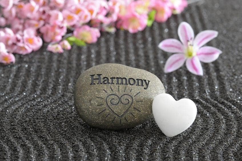 How Leaders Encourage Harmony within the Organizational Harmony