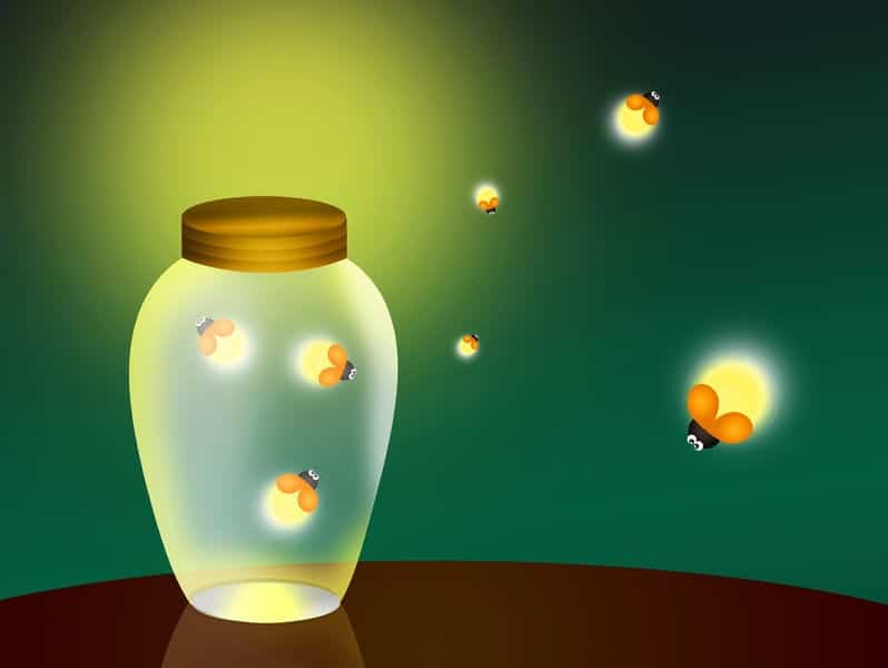 People are Like Fireflies in the Summer