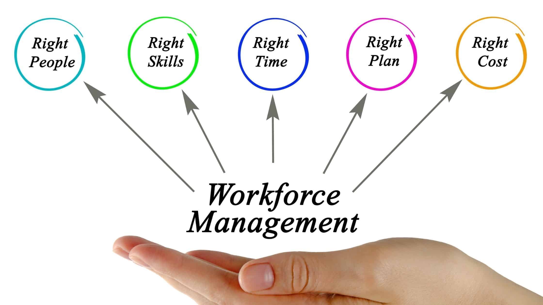 How to use the Workforce Management (WFM) to improve team's